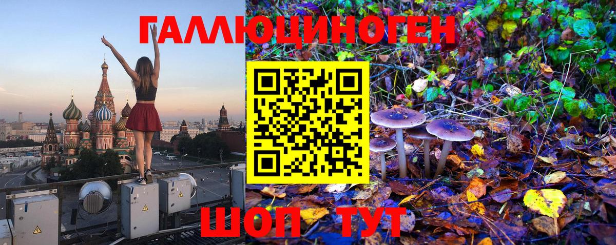 Галлюциногенные грибы Psilocybine cubensis  Вход с VPN  Рязань 